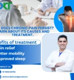Why Does Chronic Pain Persist?