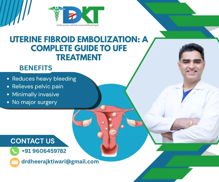 Uterine Fibroid embolization guide